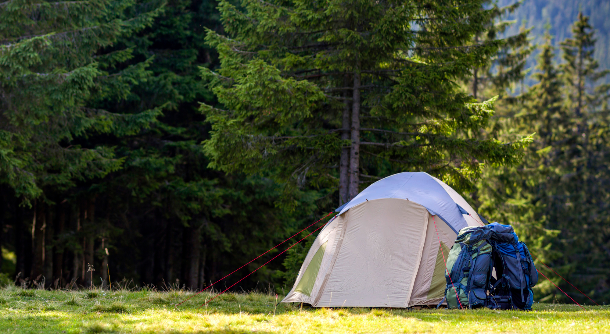 “五一”假期露营相关产品预订量是去年3倍 营地周边酒店预订量同比涨幅达145%