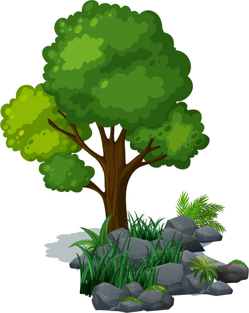 Green-tree-and-grass-on-the-rocks 1.png