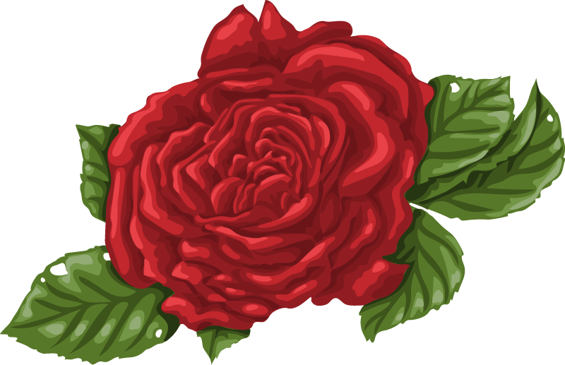 Big-set-of-yellow-and-red-roses 3.png